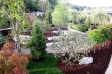 Show Garden 13